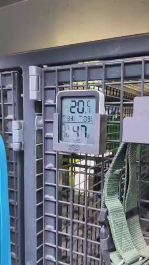 Monty Bracket Digital Thermometer